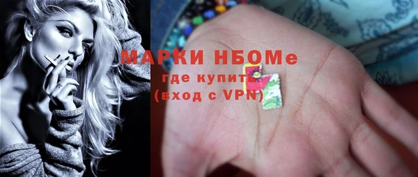 сатива Верея