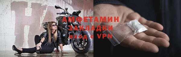 сатива Верея