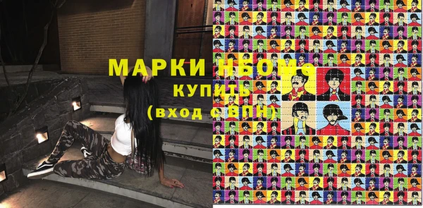 сатива Верея