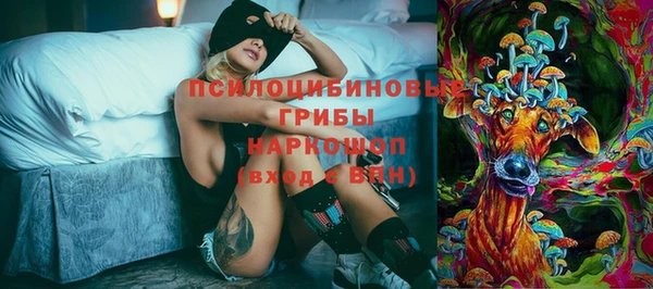 сатива Верея