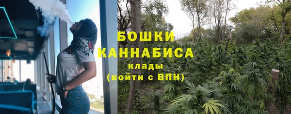 сатива Верея