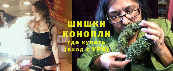 сатива Верея