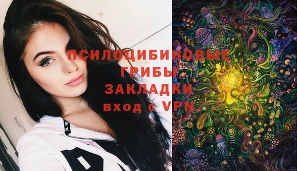 синтетический гашиш Бородино